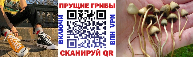 Галлюциногенные грибы MAGIC MUSHROOMS Агидель